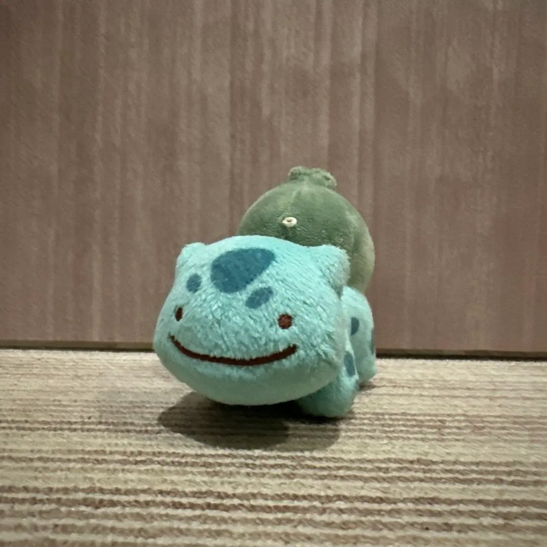 2026年最新】へんしんメタモン フシギダネの人気アイテム - メルカリ