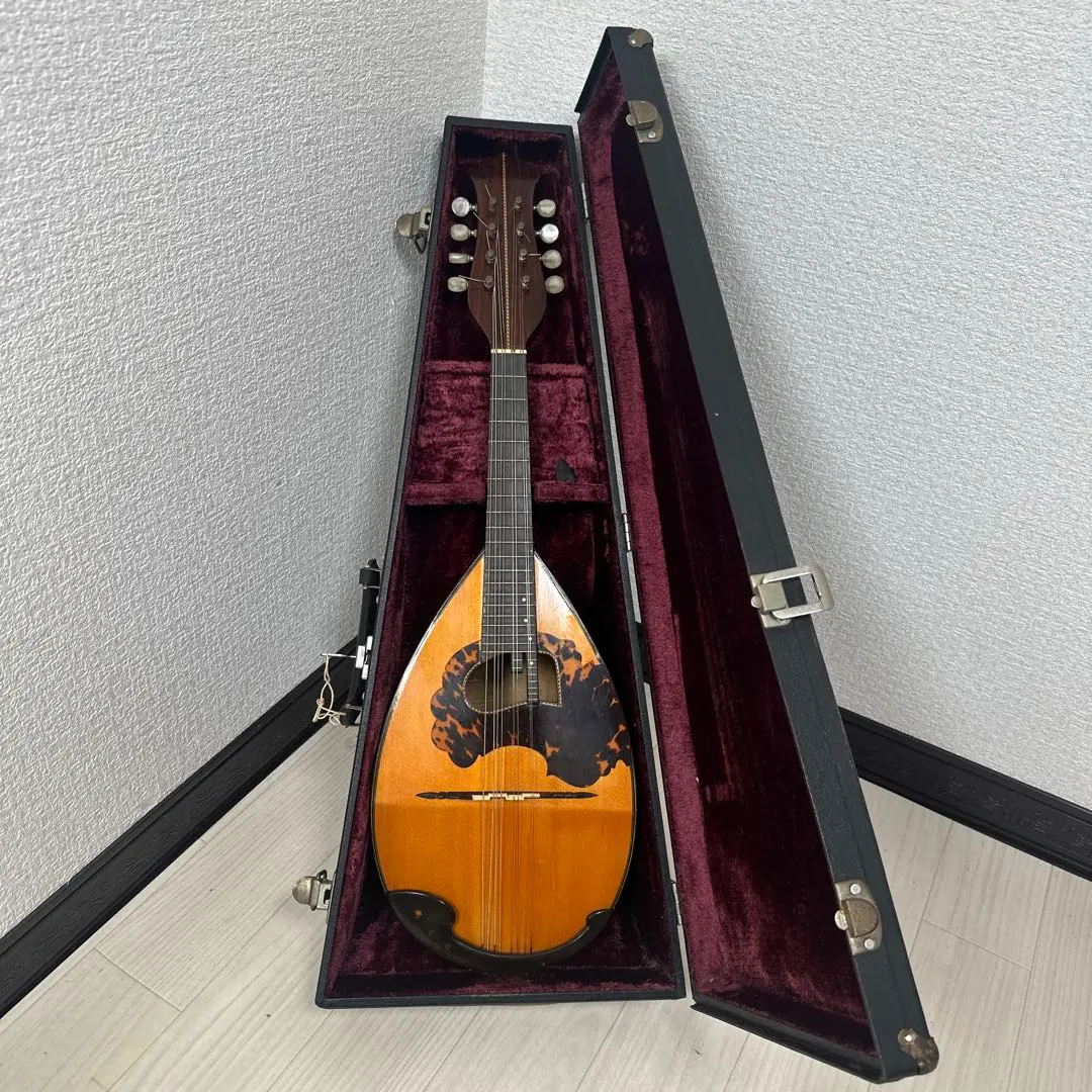 2026年最新】渡辺 マンドリンの人気アイテム - メルカリ