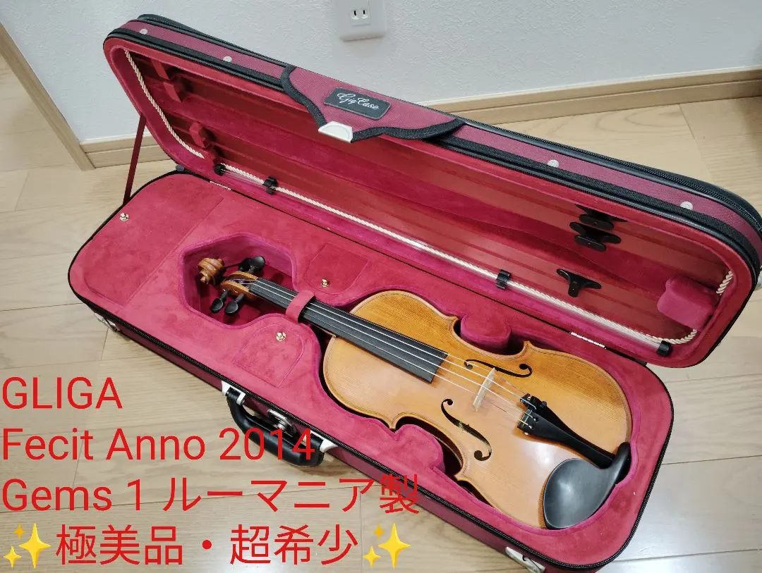 2026年最新】gliga バイオリンの人気アイテム - メルカリ