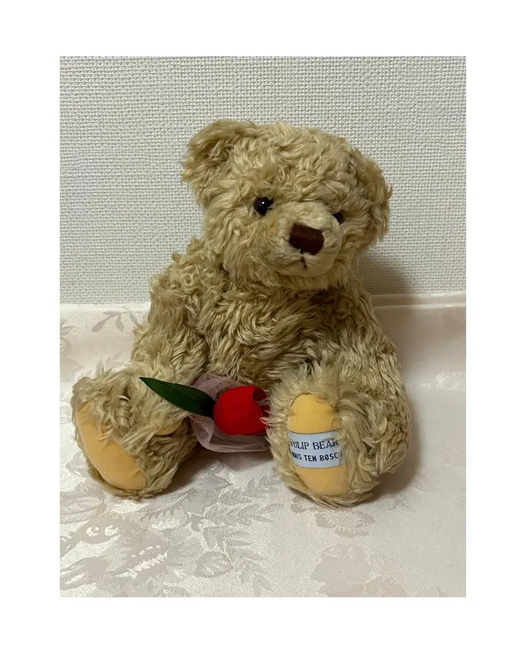 2026年最新】ハウステンボス チューリップベアの人気アイテム - メルカリ