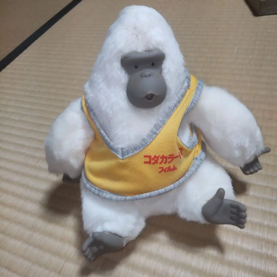 2026年最新】コダカラーの人気アイテム - メルカリ