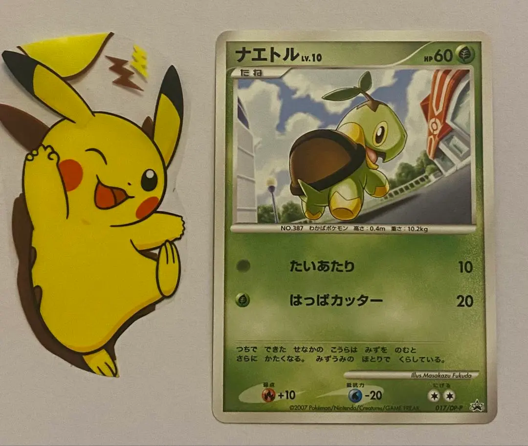 2026年最新】017/DP-P ナエトルの人気アイテム - メルカリ