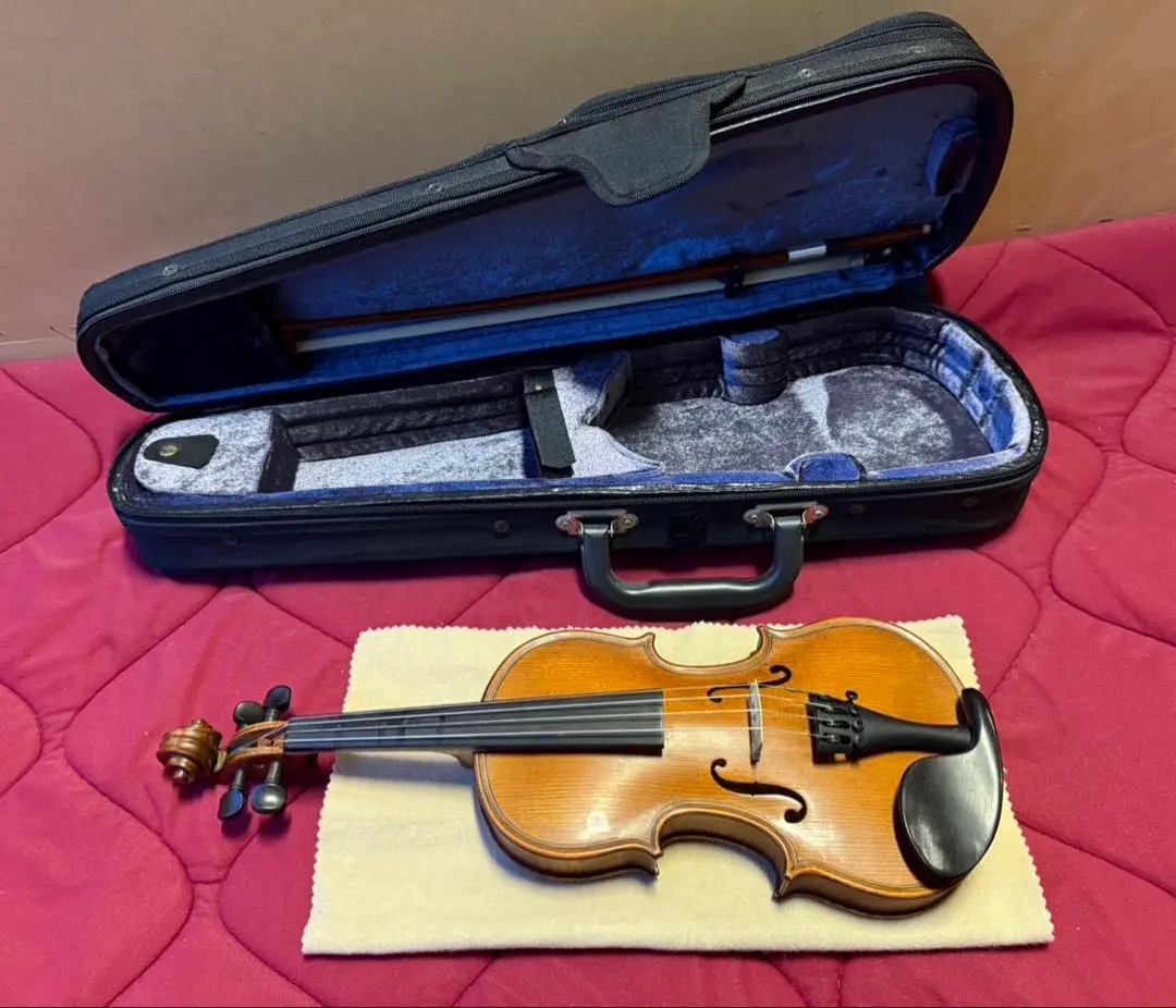 2026年最新】gliga バイオリンの人気アイテム - メルカリ