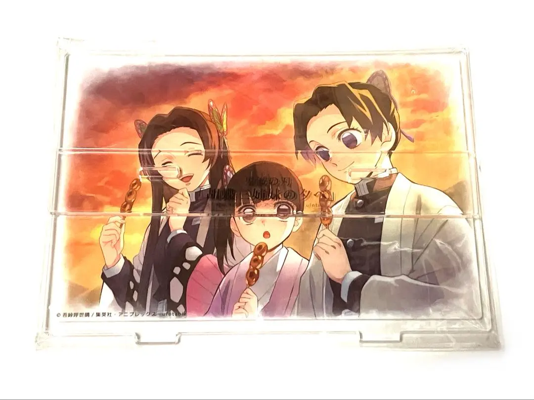 m19815354576_1.jpg?1765422763