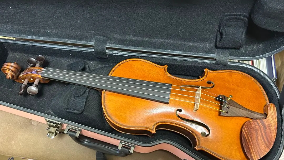 2026年最新】バイオリン GLIGAの人気アイテム - メルカリ