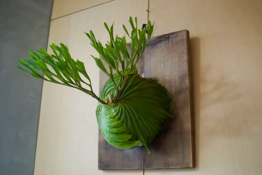 2026年最新】リドレイ ナノの人気アイテム - メルカリ