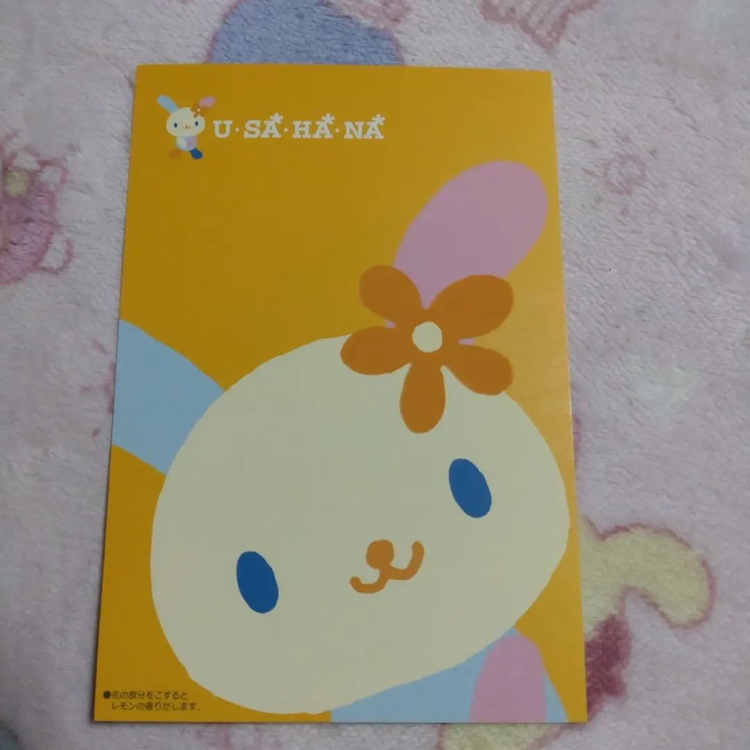 2026年最新】ウサハナ 2001年の人気アイテム - メルカリ