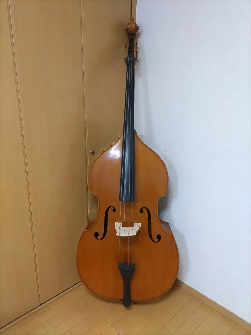 2026年最新】スズキ コントラバスの人気アイテム - メルカリ