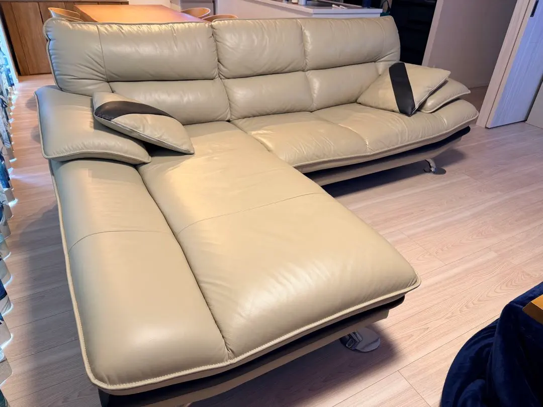 2026年最新】ニトリ ソファ ロゾの人気アイテム - メルカリ