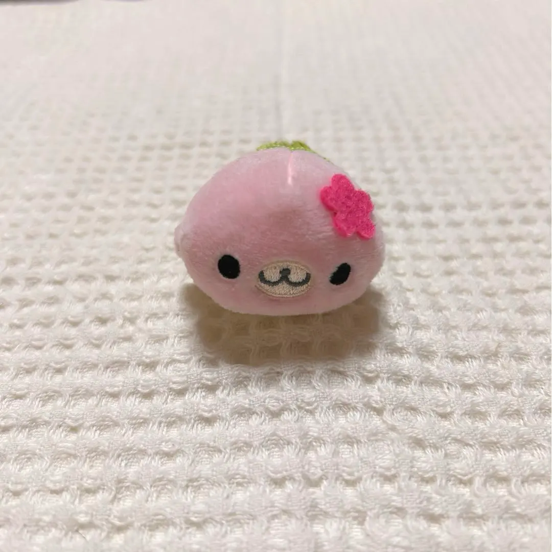 2026年最新】まめゴマ てのりの人気アイテム - メルカリ