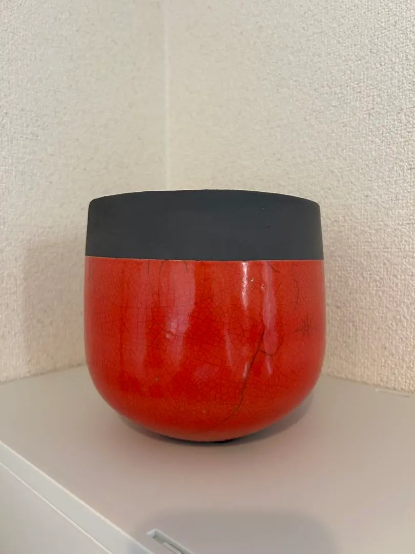 2026年最新】ドマーニ鉢の人気アイテム - メルカリ