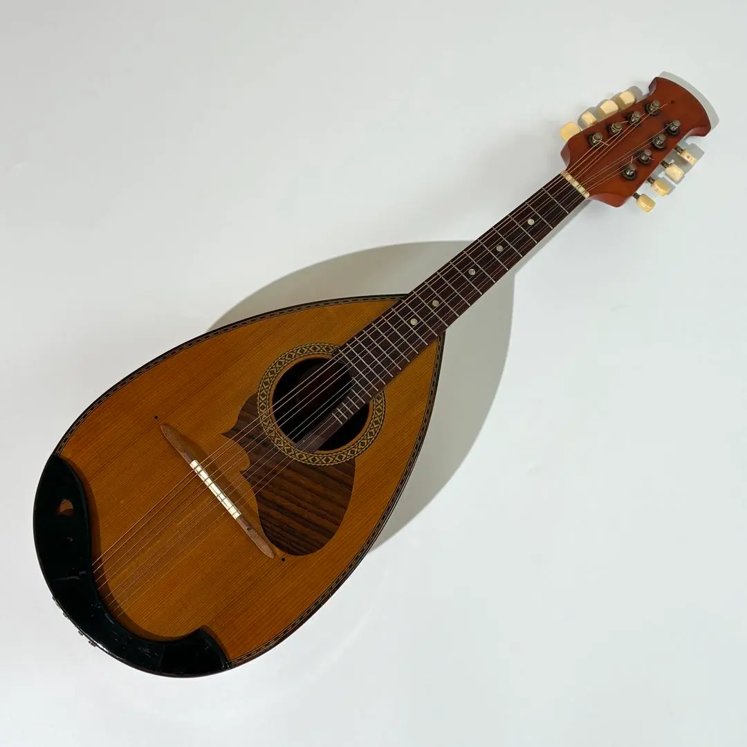 2026年最新】SUZUKI マンドリン m-210の人気アイテム - メルカリ