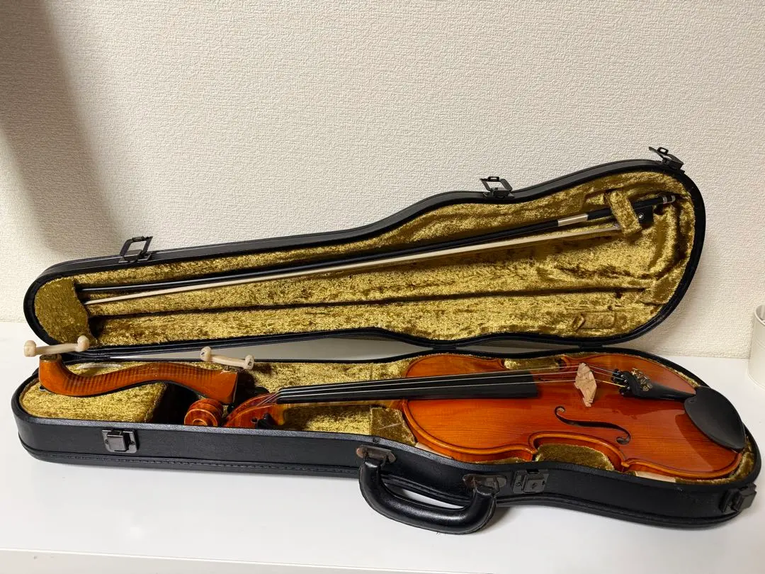 2026年最新】バイオリン SUZUKI 550の人気アイテム - メルカリ
