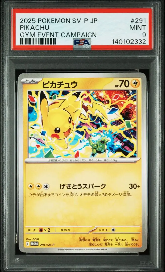 m35160927481_1.jpg?1771741759