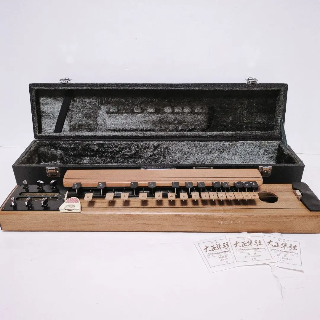 2026年最新】木村 大正琴の人気アイテム - メルカリ