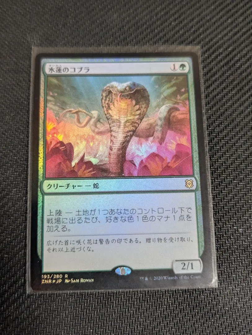 2026年最新】MTG 水蓮のコブラの人気アイテム - メルカリ