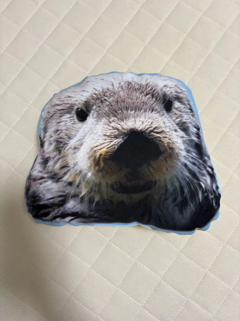 2026年最新】海の中道マリンワールド ラッコ リロの人気アイテム