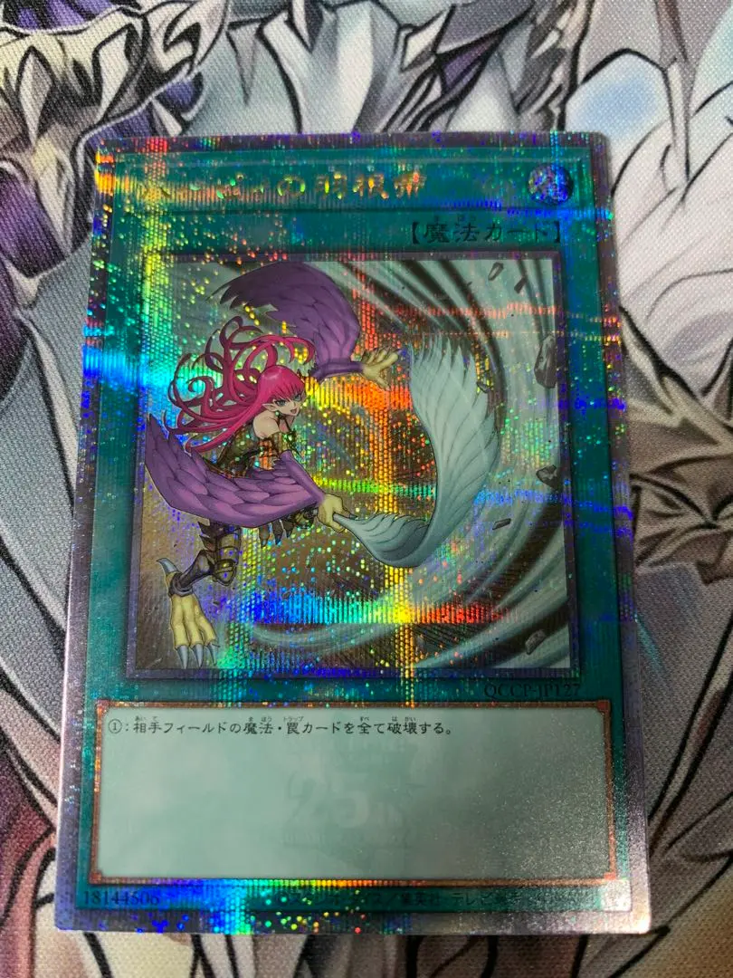 2026年最新】ハーピィの羽根箒絵違いの人気アイテム - メルカリ