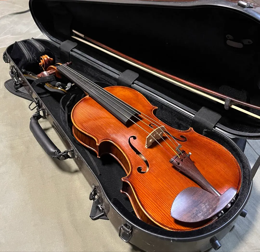 2026年最新】バイオリンケース カーボンマックの人気アイテム - メルカリ