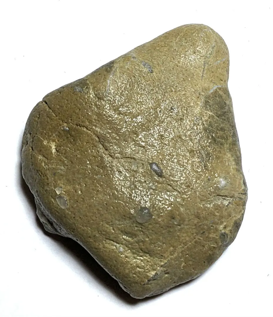 2026年最新】舎利母石の人気アイテム - メルカリ