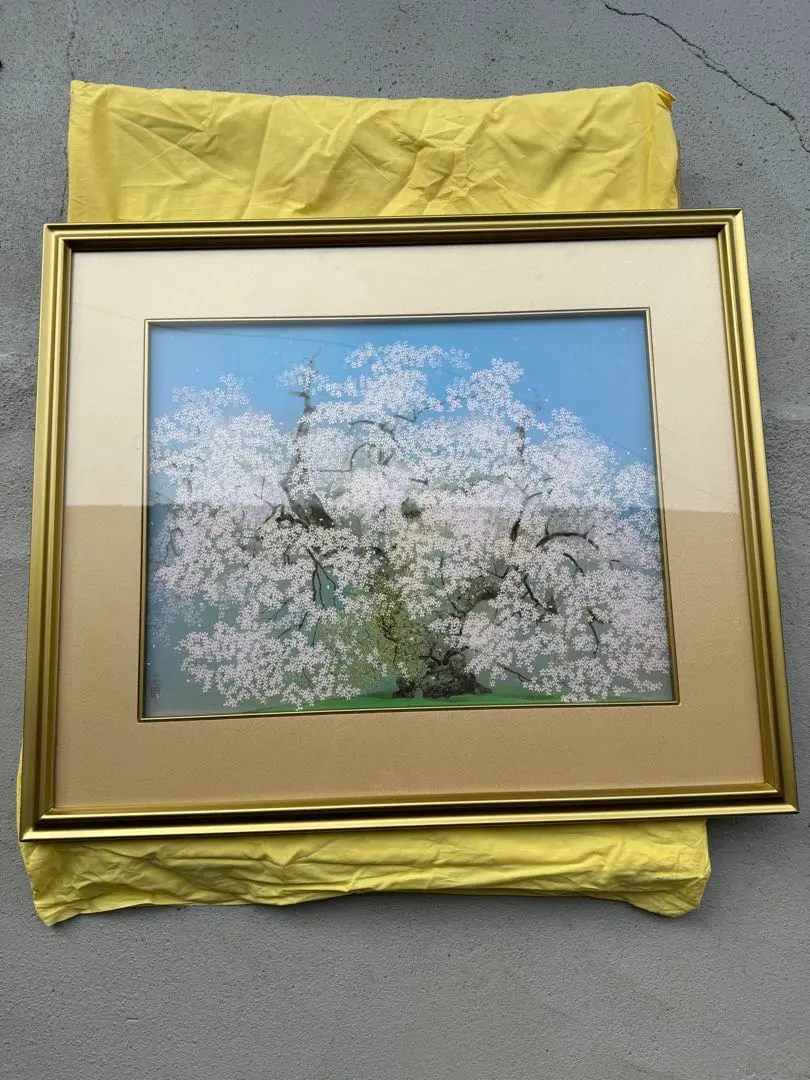 2026年最新】中島千波 桜の人気アイテム - メルカリ