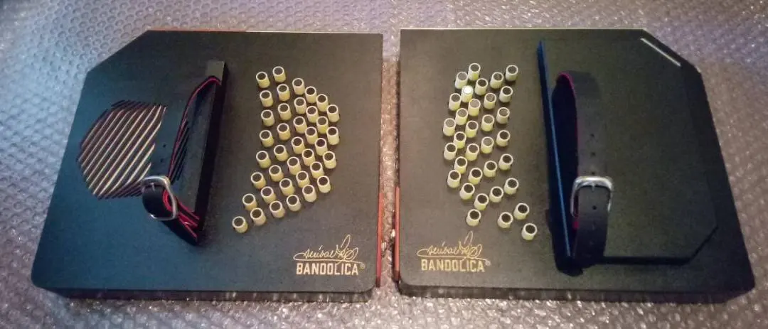 2026年最新】バンドネオン 楽器の人気アイテム - メルカリ