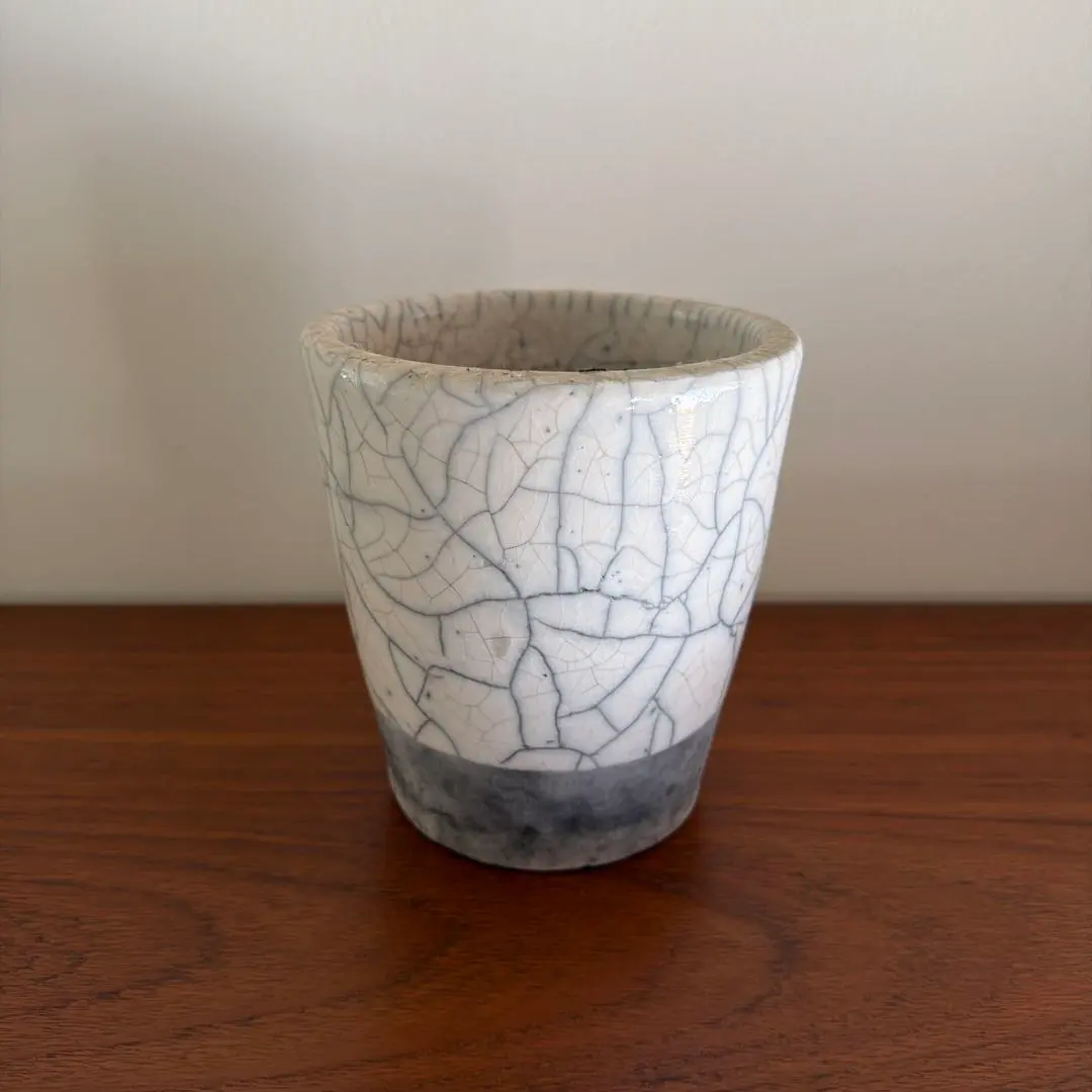 2026年最新】ドマーニ鉢の人気アイテム - メルカリ