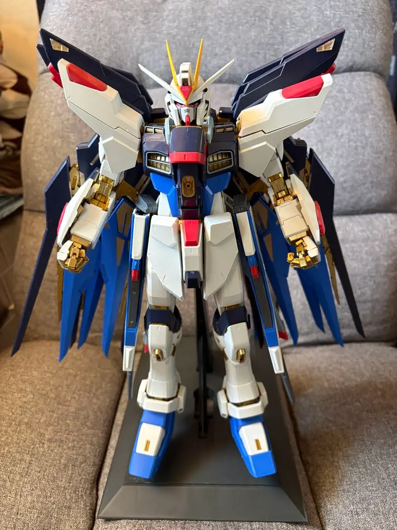 2026年最新】pg ストライクフリーダム 完成品の人気アイテム - メルカリ