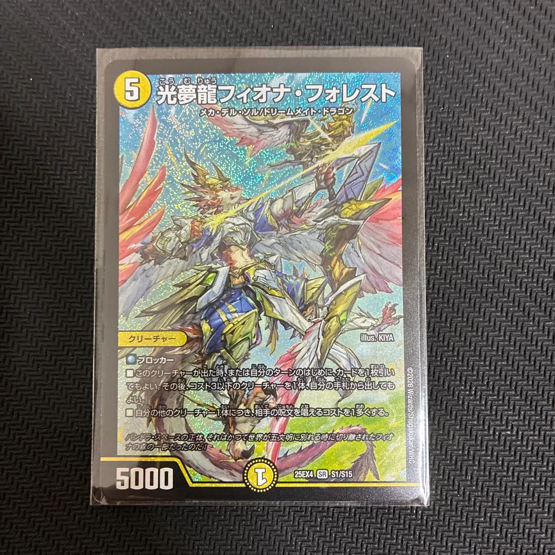 m21840693264_1.jpg?1771693770