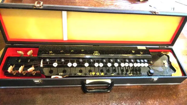 2026年最新】大正琴 白鷺の人気アイテム - メルカリ