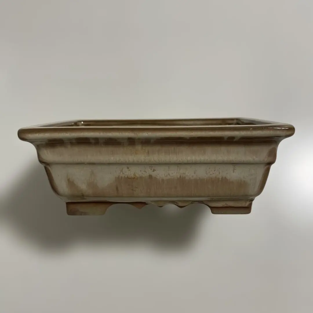 2026年最新】陶翠 盆栽鉢の人気アイテム - メルカリ