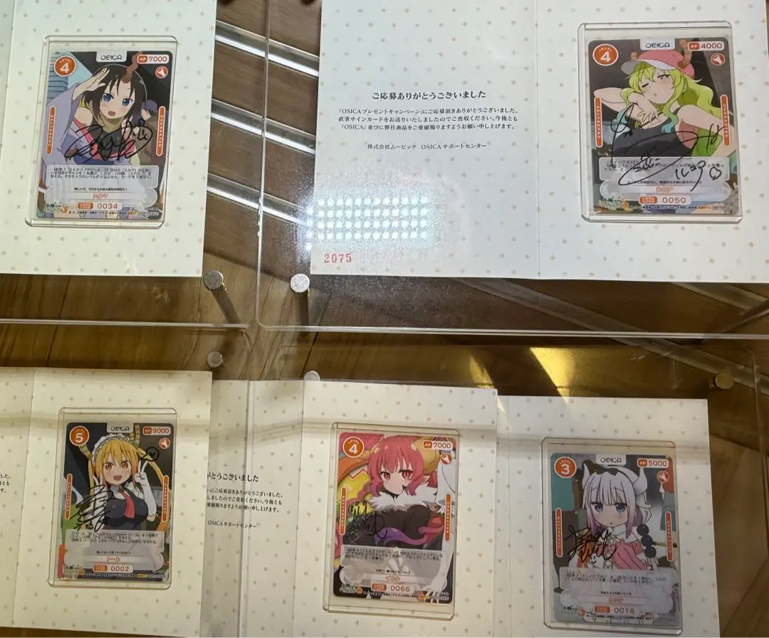 2026年最新】種別：シングルカード 複数 OSICA(オシカ)の人気アイテム