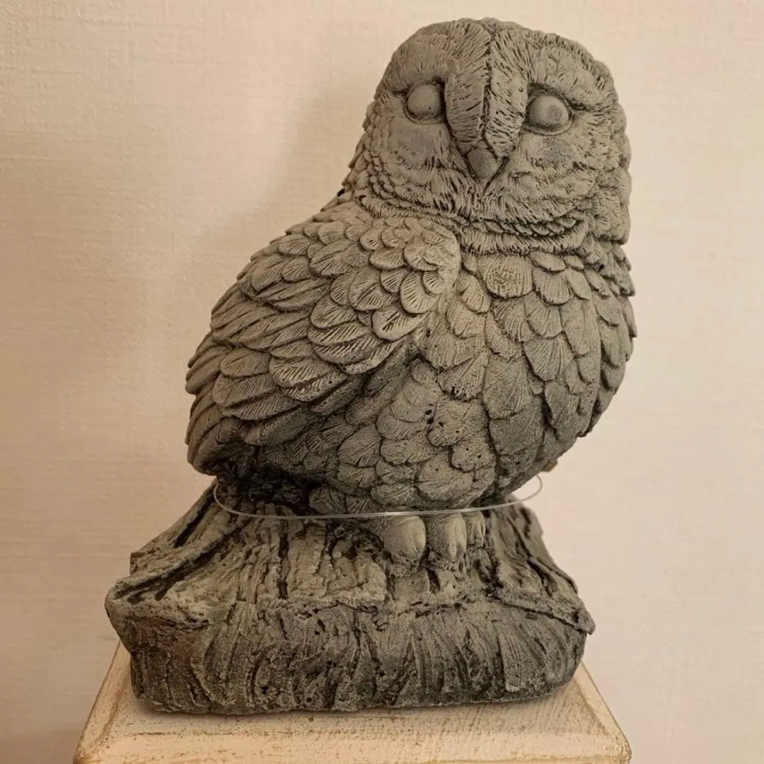 2026年最新】ワンダーデコール 鉢の人気アイテム - メルカリ