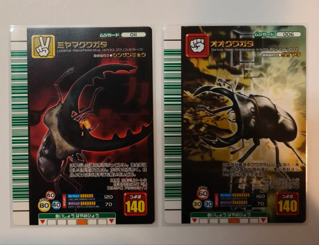 2026年最新】シンザンキョウの人気アイテム - メルカリ