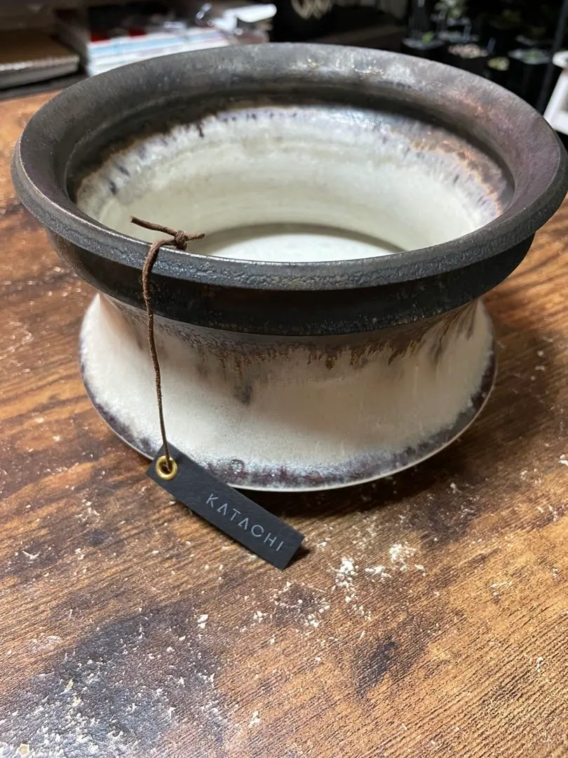 2026年最新】mederu potの人気アイテム - メルカリ