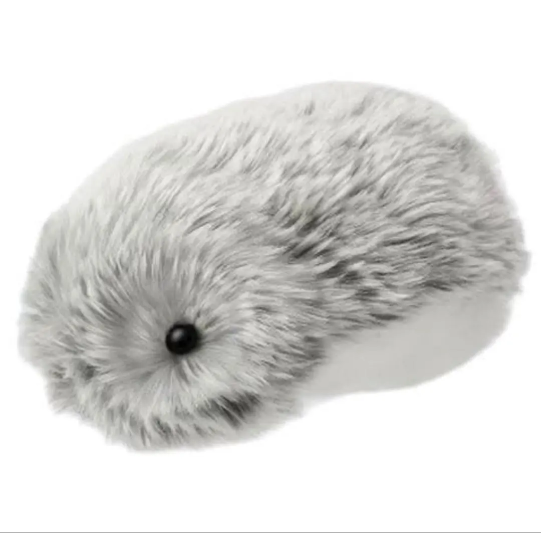 m28594148341_1.jpg?1767243081