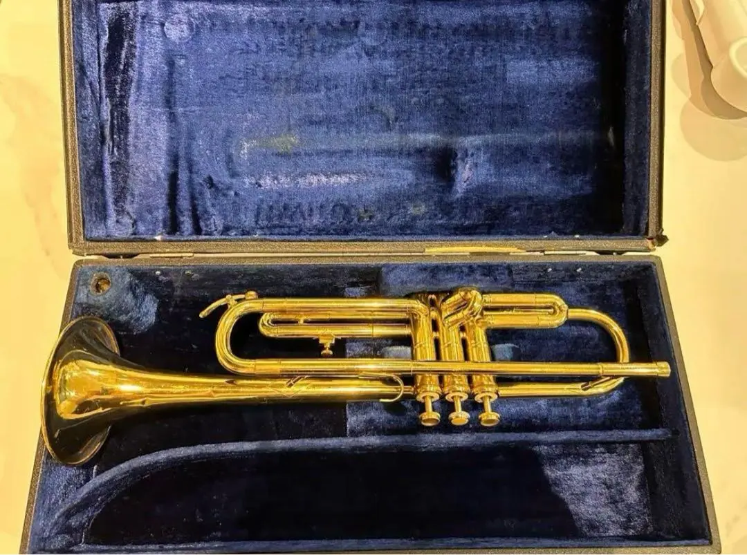 2026年最新】kawai トランペットの人気アイテム - メルカリ