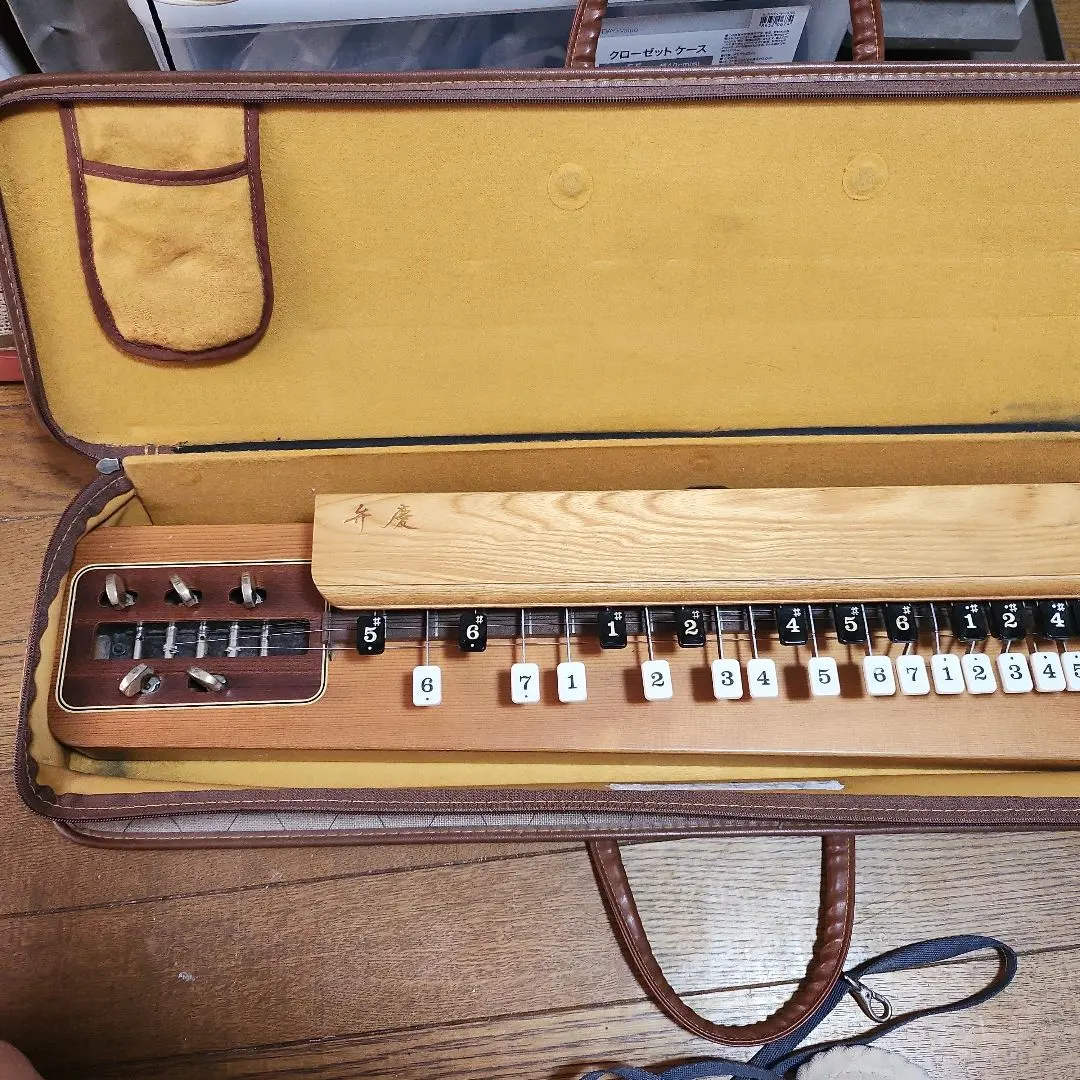 m51543670867_1.jpg?1760502151