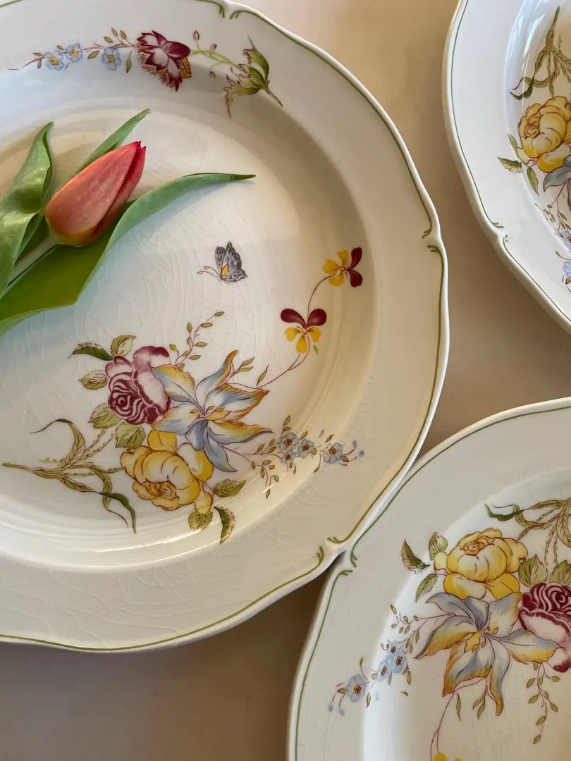 2026年最新】Gien アイテム 種類：大皿 皿の人気アイテム - メルカリ