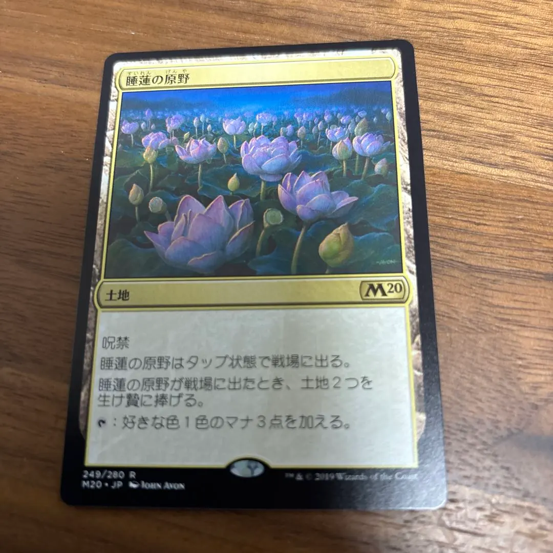 2026年最新】睡蓮の原野の人気アイテム - メルカリ