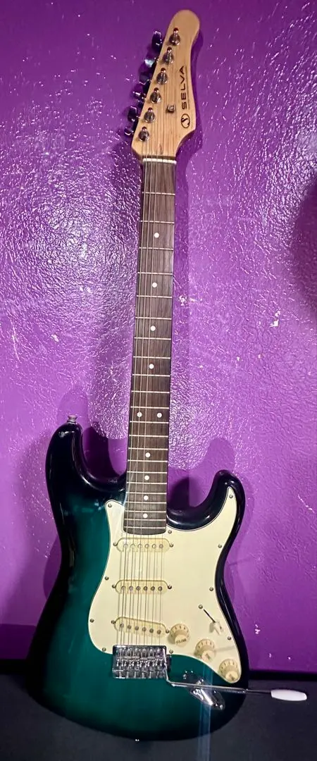 2026年最新】selva ギターの人気アイテム - メルカリ