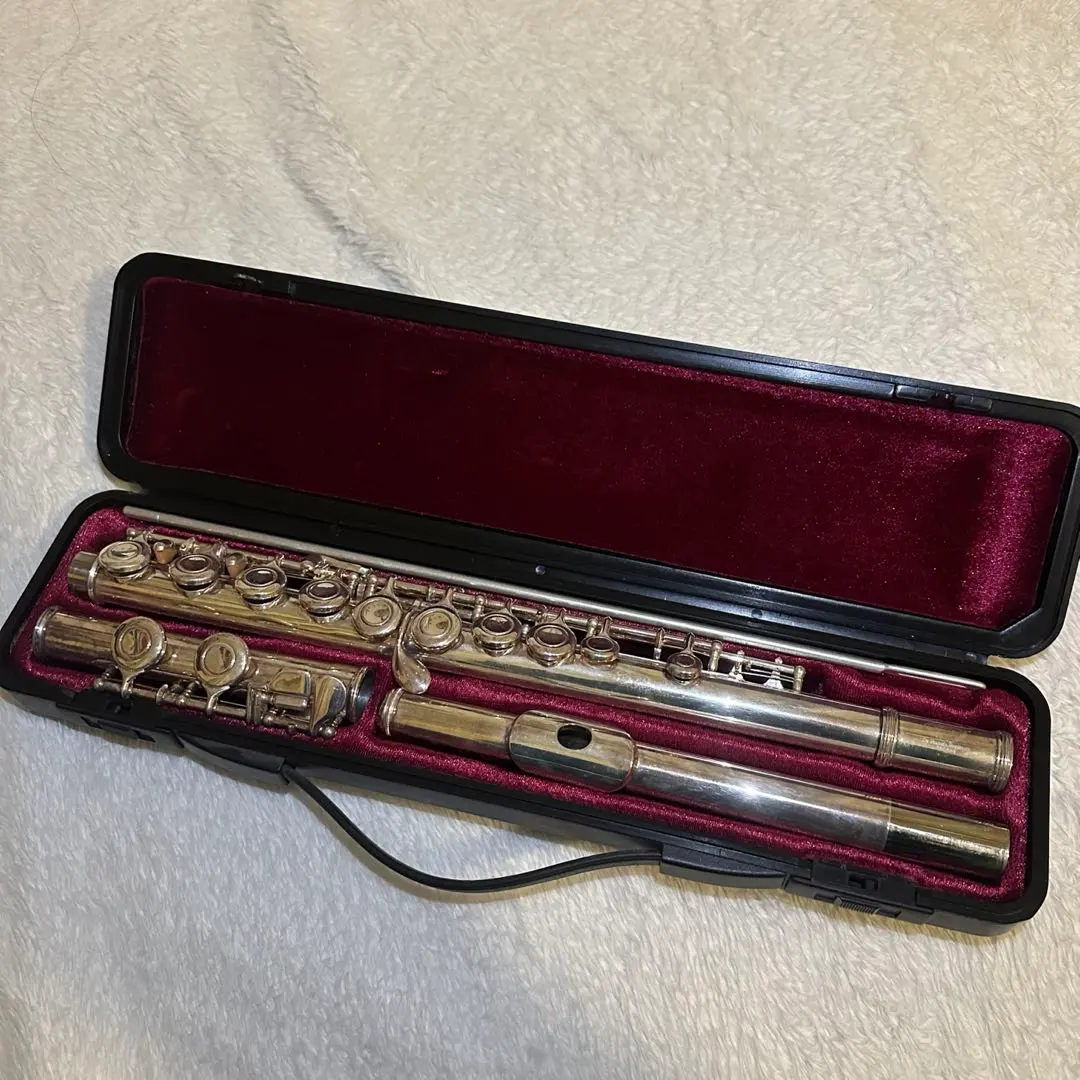 2026年最新】Maxtone フルートの人気アイテム - メルカリ