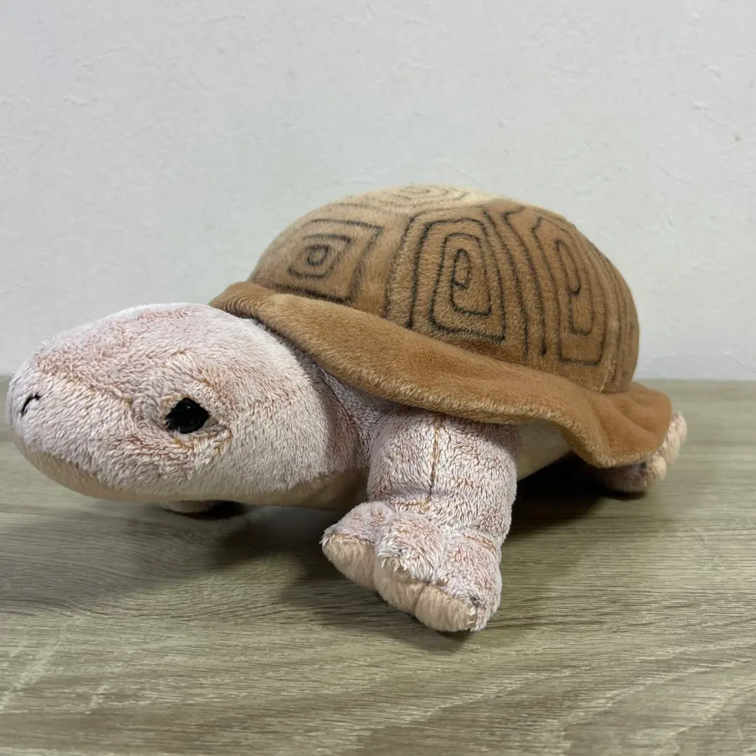 2026年最新】リクガメ ぬいぐるみの人気アイテム - メルカリ