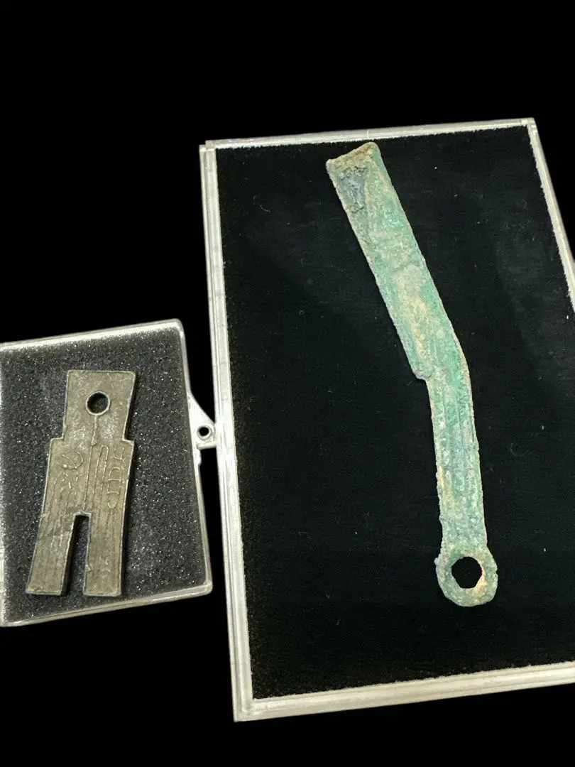 m54251685774_1.jpg?1739091111