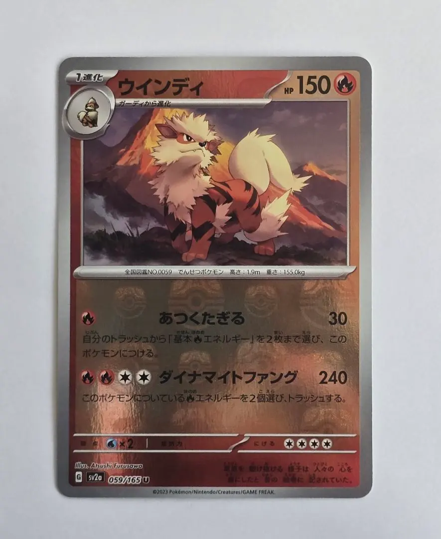 2026年最新】ウインディ マスターボールの人気アイテム - メルカリ