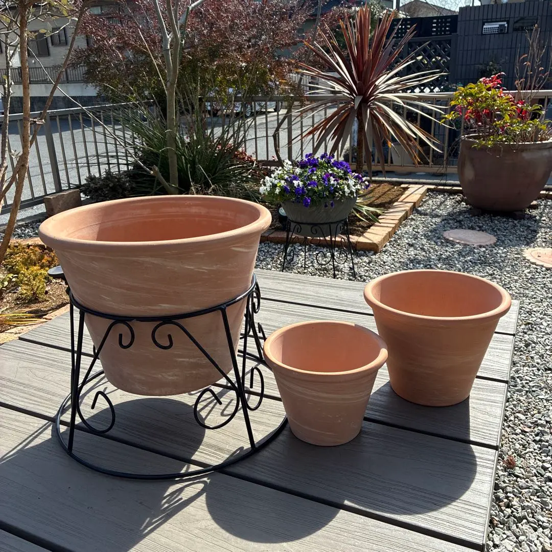 2026年最新】デローマ鉢の人気アイテム - メルカリ