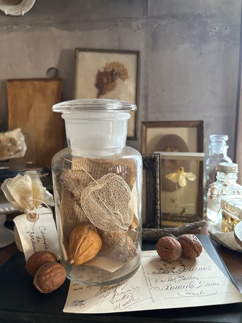 2026年最新】葉脈標本の人気アイテム - メルカリ