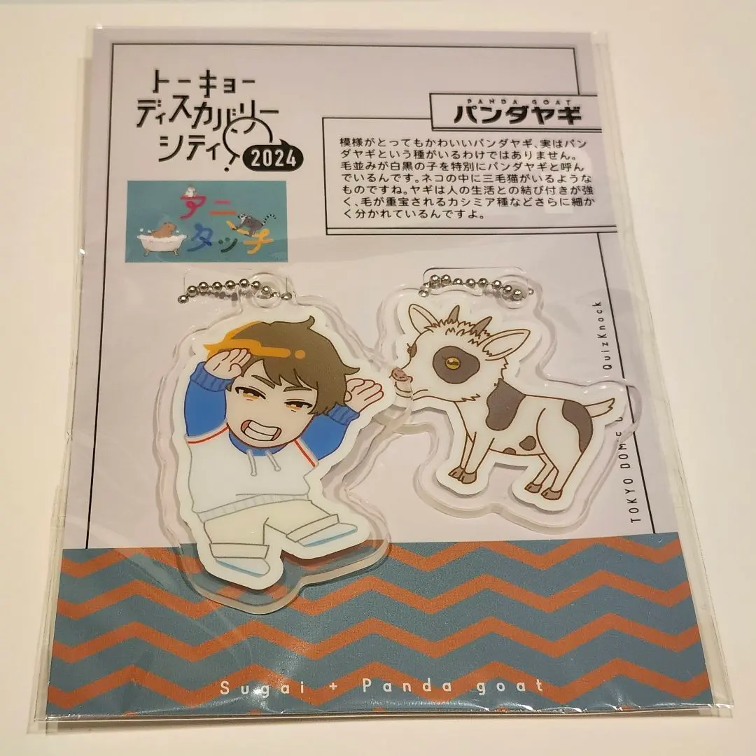 2026年最新】東言 アニタッチの人気アイテム - メルカリ