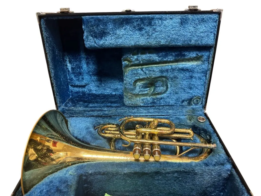 2026年最新】メロフォン マウスピースの人気アイテム - メルカリ