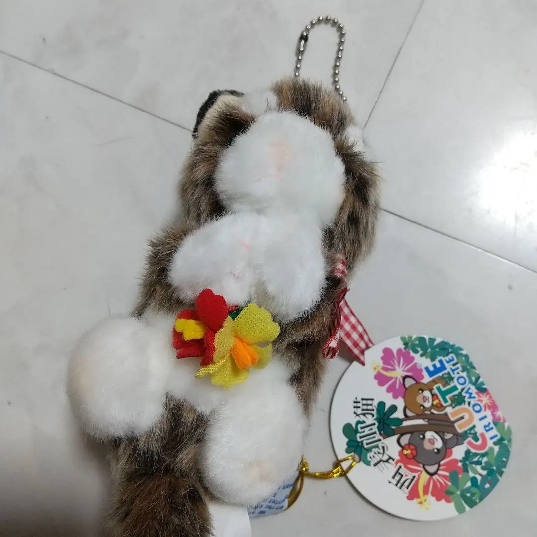 2026年最新】イリオモテヤマネコ ぬいぐるみの人気アイテム - メルカリ